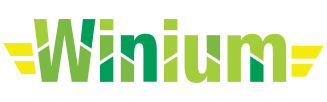 Winium.Desktop это реализация Selenium Remote WebDriver для автоматизации тестирования Windows приложений построенных на WinFroms и WPF платформах