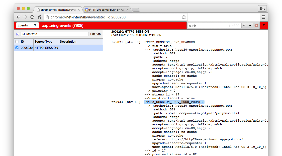 chrome://net-internals