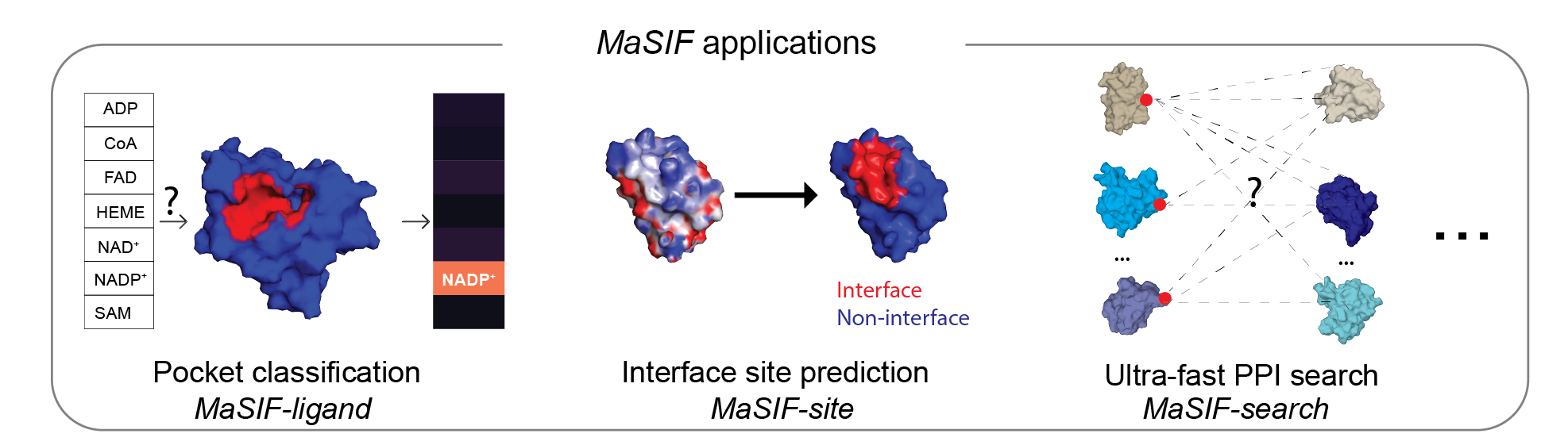 MaSIF proof-of-concept applications