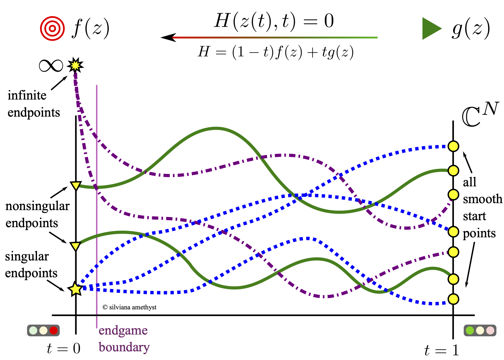 homotopy continuation