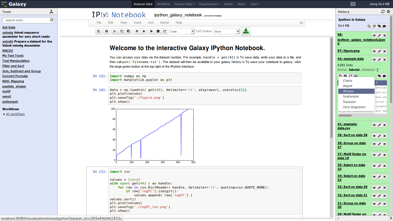 IPython in Galaxy