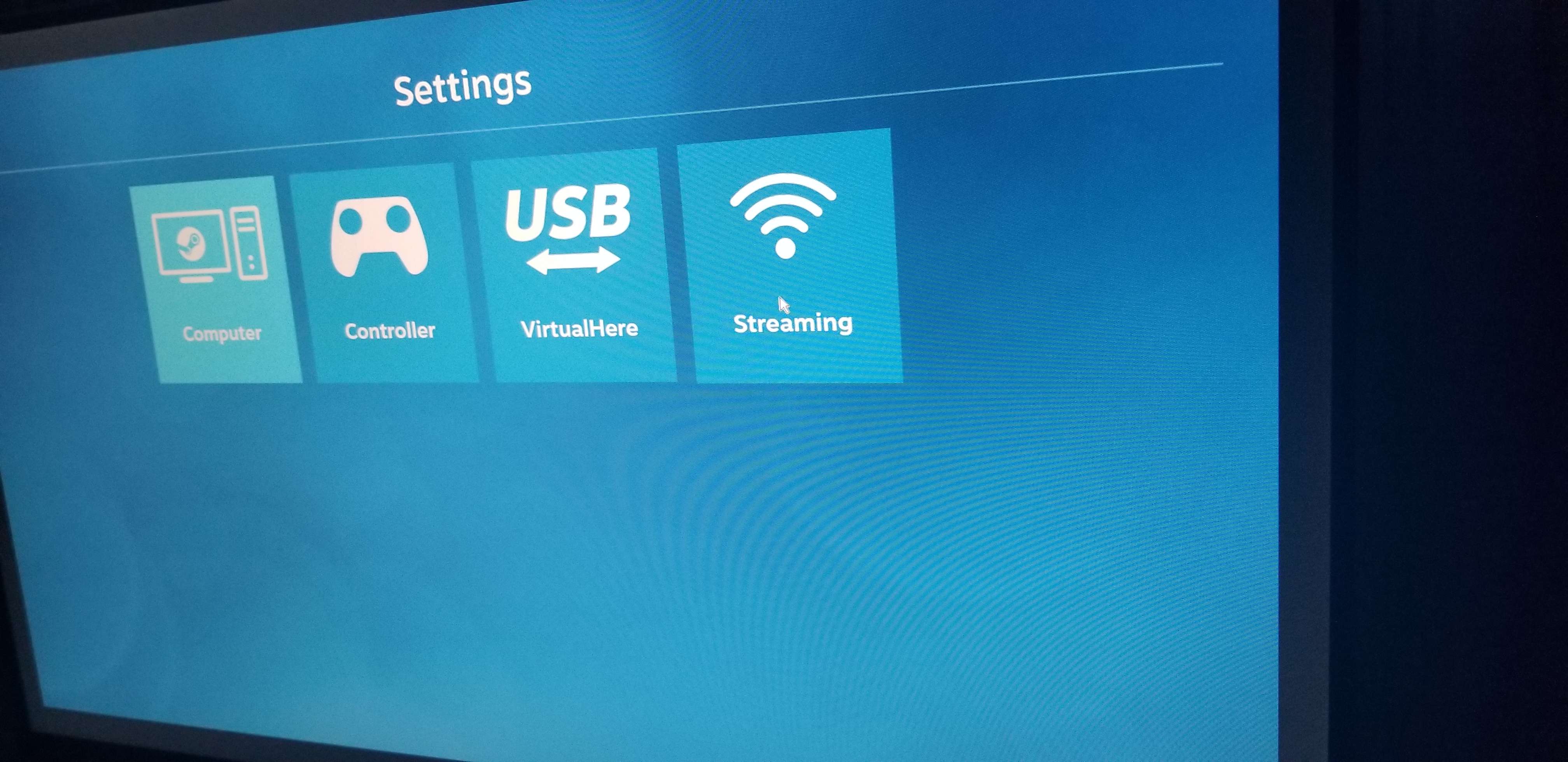 Steam Link Settings