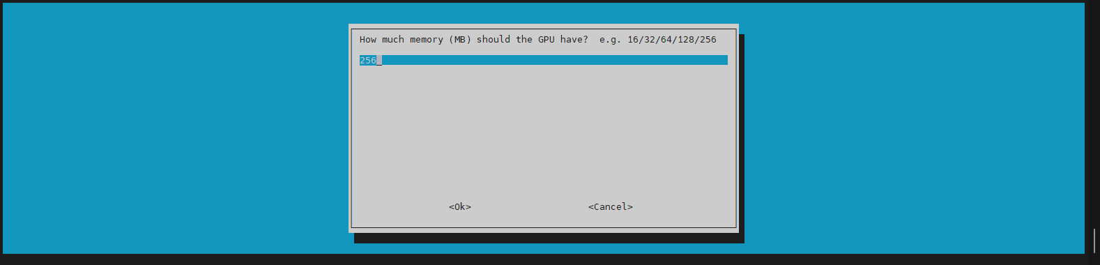 GPU Memory