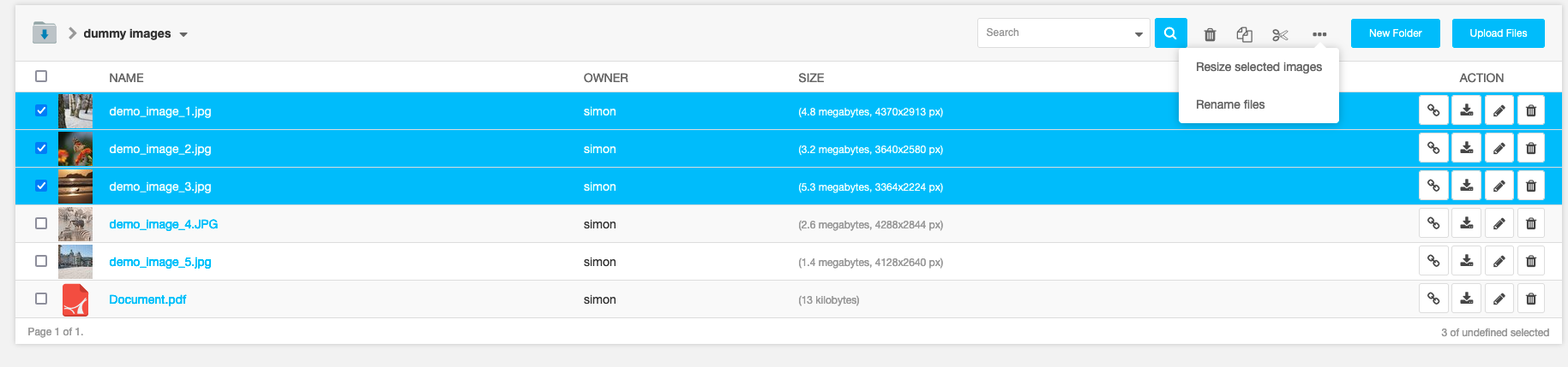 https://raw.githubusercontent.com/django-cms/django-filer/master/docs/_static/filer_3.png