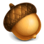 Acorn