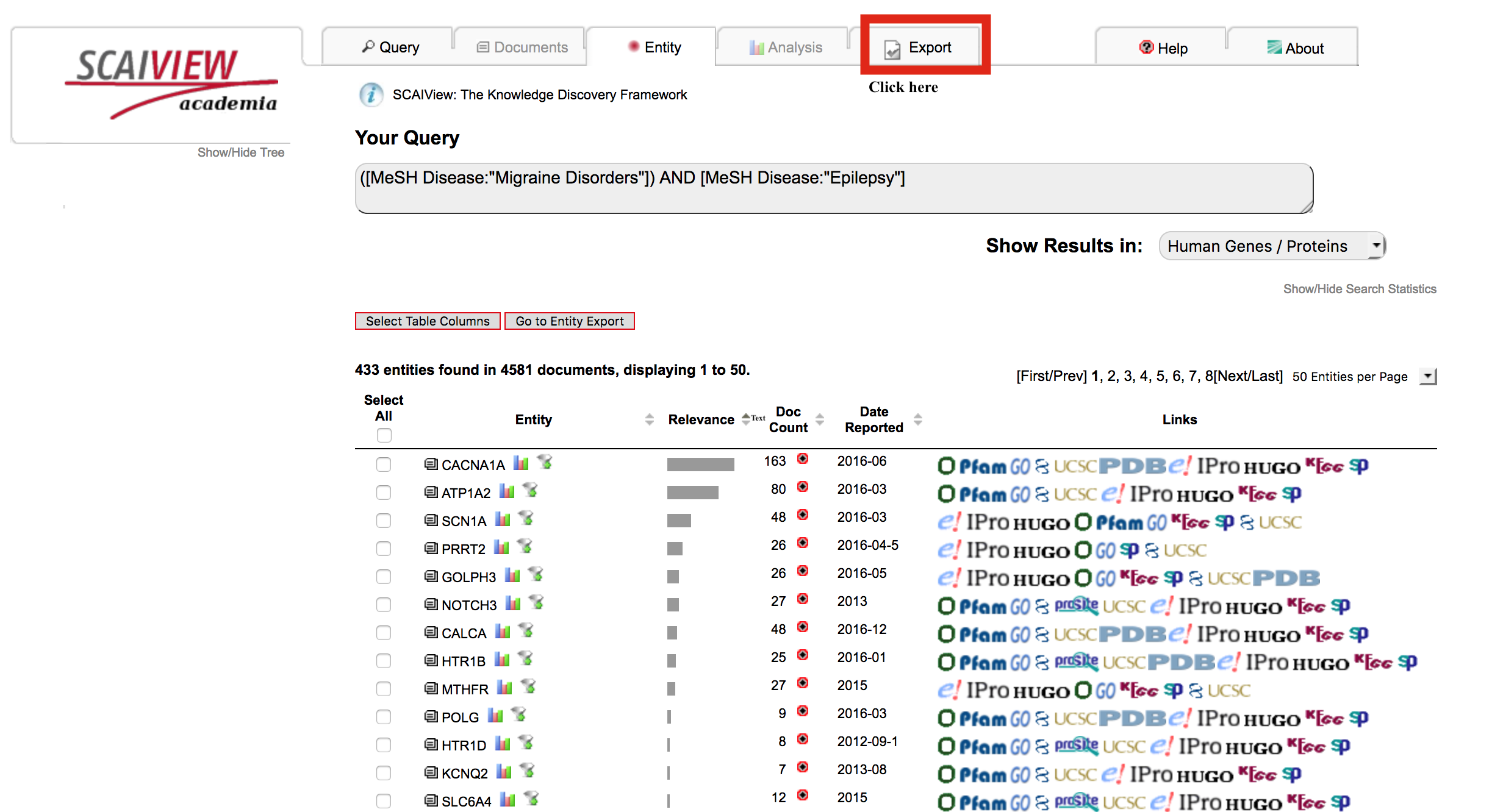 Step 2: Display of Results