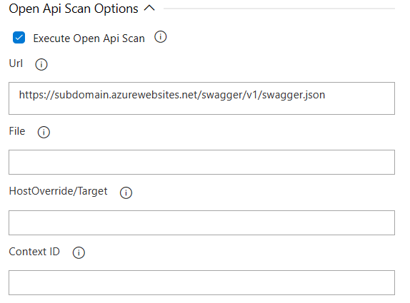 Open Api Scan Options