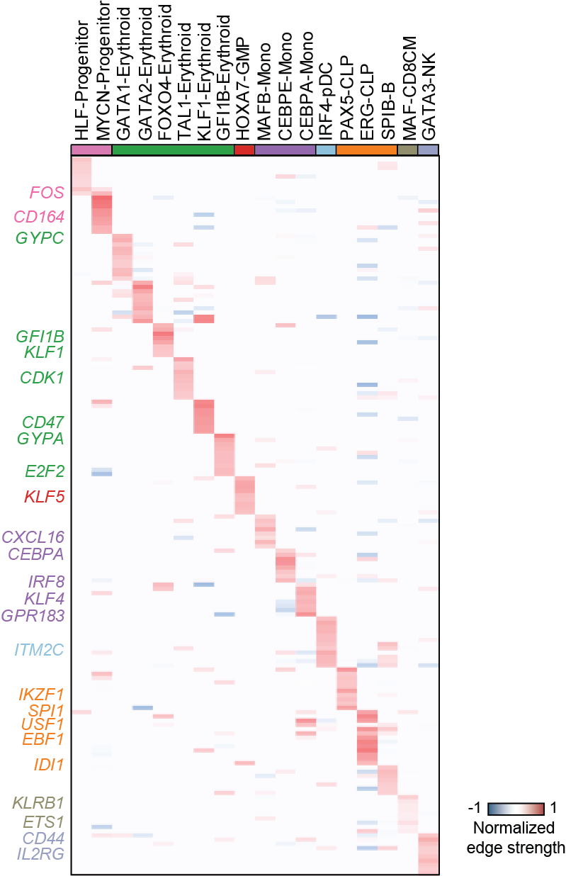 https://raw.githubusercontent.com/pinellolab/dictys/master/doc/images/Global_heatmap.png