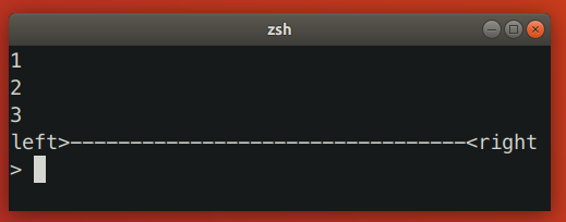 Terminal Resizing Bug 1