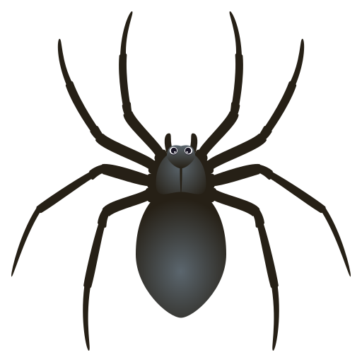 spider