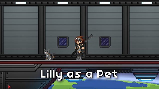 Lilly as a pet