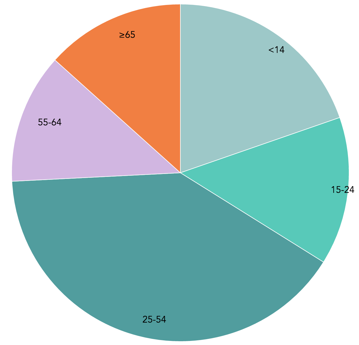 US Population Age Group Pie Chart